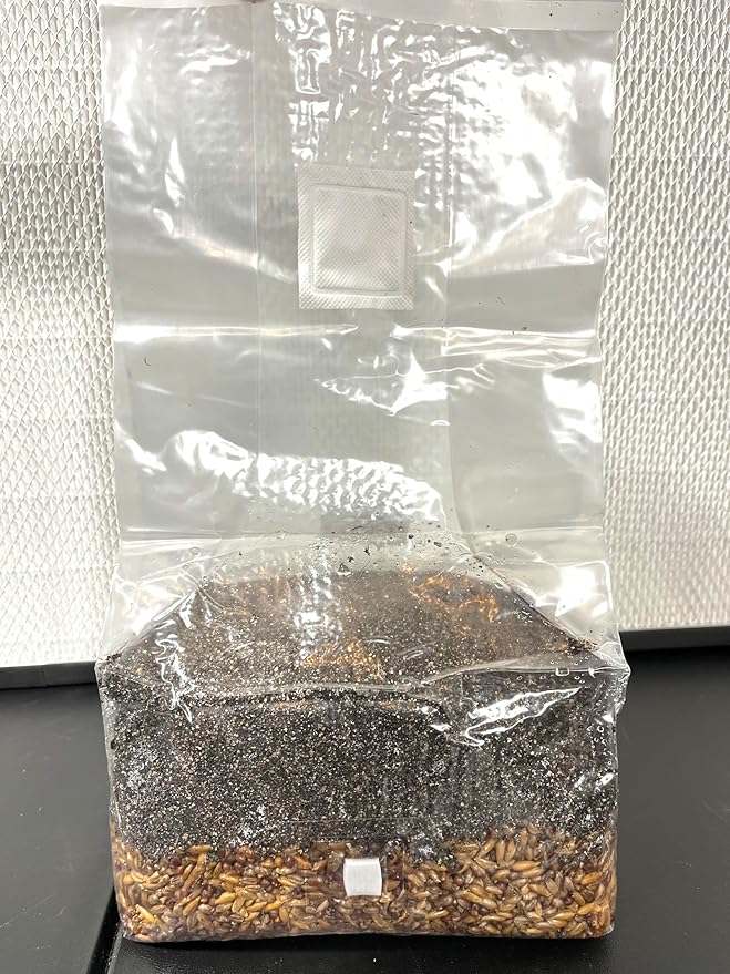 Magical 5 lb Mushroom All in One Grow Bag for Manure Loving Mushrooms with Injection Port and 0.2 Micron Breathable Filter
