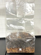 Magical 5 lb Mushroom All in One Grow Bag for Manure Loving Mushrooms with Injection Port and 0.2 Micron Breathable Filter