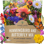Wildflower Seeds Butterfly and Humming Bird Mix - Large 1 Ounce Packet 7,500+ Seeds - 23 Open Pollinated Annual and Perennial Species