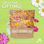 Cosmos Seeds Wildflower Mixture - Bulk 1 Ounce Packet - Over 5,000 Seeds - Pink, Yellow, Orange, Red, Purple and White Mixed Species!