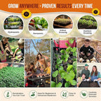 Organo Republic 25 Summer Vegetable & Herb Garden Seeds Variety Pack - 6,820+ Non-GMO Heirloom Veggie & Herb Seeds for Outdoors & Indoor Home Gardening: Tomato, Okra, Bean, Cucumber, Basil, Rosemary