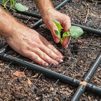Garden Grid Watering System, 2x8 Cornerless | Garden Irrigation System for Garden Beds | Pre-Assembled, Waters Every Plant, USA-Made | Ideal for Beds w/Corner Posts or Curved Ends | 22.5"x88"