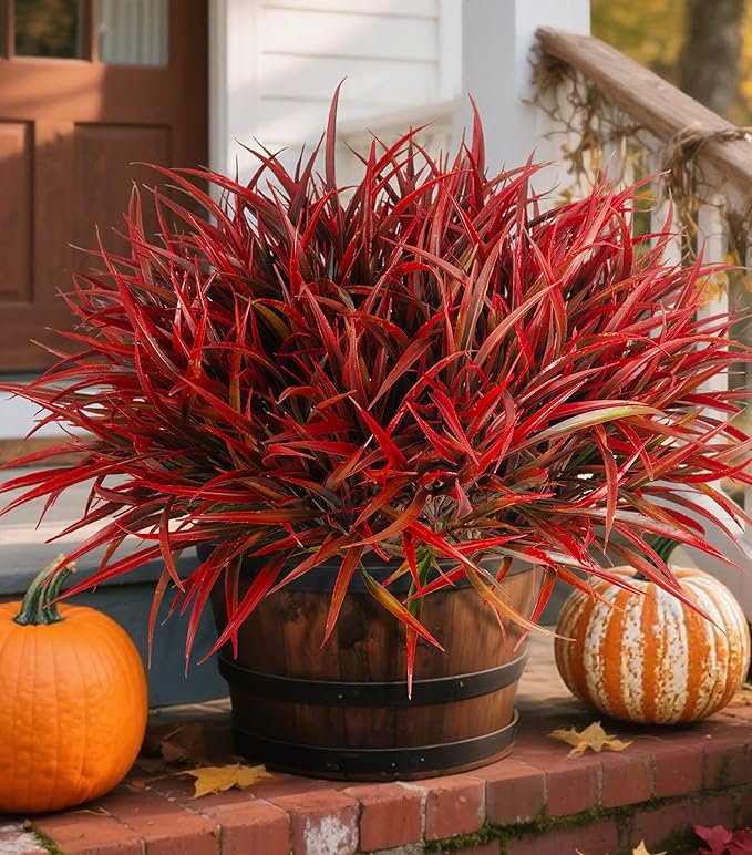 Ivydale 12Pcs Artificial Plants Outdoor Fake Plastic Grass Fall Decoration UV Resistant Faux Greenery Stems Bushes Outside Fake Plants for Planters Patio Porch Window Garden Home Decor