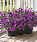 Ivydale Artificial Flowers for Outdoor 24 Bundles Fake Mums with Eucalyptus Leaves UV Resistant Silk Faux Daisy Flower Plant for Outside Home Porch Patio Window Box, Purple