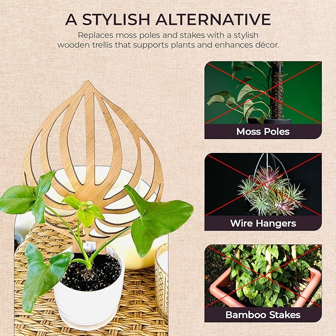 Treleaf Peptrella Watermelon Peperomia Inspired Wooden Trellis – Petite Size 9" Indoor Plant Support for Hoyas and Climbing Plants – Decorative Houseplant Trellis and Wooden Plant Stake