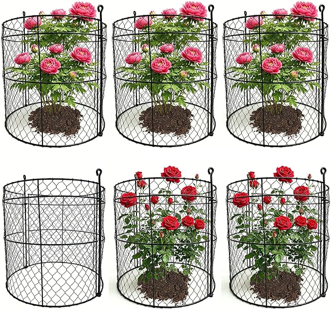 6 Pack Heavy-Duty Chicken Wire Plant Cloches, 14"x16" Rustproof Chicken Wire Cages for Flowers, Seedlings & Vegetables, Combine to Large Fences for Raised Beds & Patios, Keep Rabbits, Squirrels Out