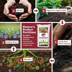 Brut Worm Farms 30 LB Organic Worm Castings, Natural Fertilizer for Indoor Outdoor Plants – Compost Soil Control, Mineral-Rich Potting Mix Additive Plant Food for Soil Health and Garden Growth