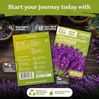 KVITER 2000 English Lavender Seeds for Planting Outdoor & Indoor (Lavandula angustifolia) – True Lavender Flowers, Heirloom Perennial, Non-GMO – Organic Herb Seeds for Outdoor Garden, Flower Beds