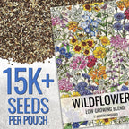 Seed Needs Low Growing Wildflower Flower Seeds for Planting | 1 Ounce Mixture/Blend 17 Varieties | Resealable Package Multicolored Blooms Open Pollinated Mixed Species | Bulk