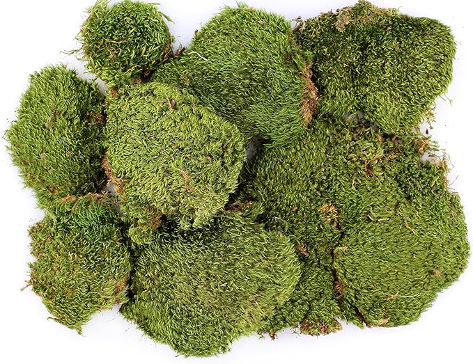 SuperMoss (21537) Mood Moss – Natural Moss for Home Decor, Terrariums, Floral Arrangements, and Craft Projects, 1,564 cu in, Dried