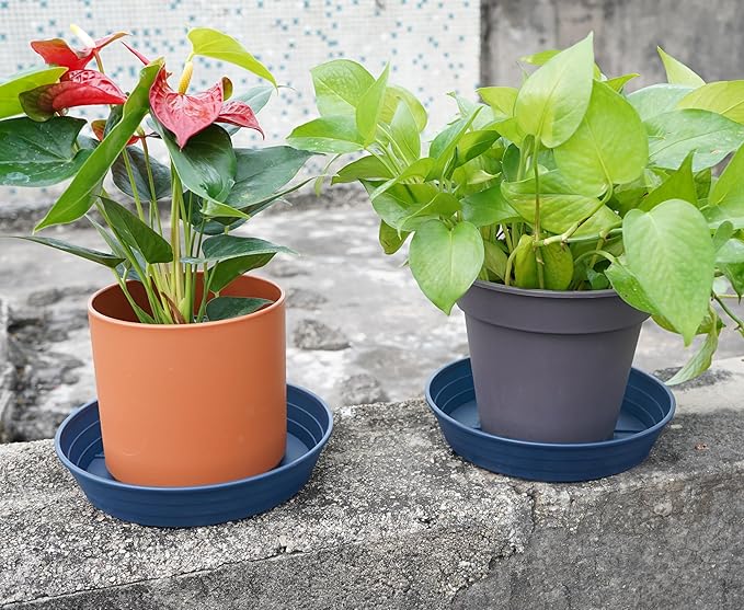 LWALRS Plant Saucer 14 Inch 4 Pack 6 8 10 12 14 16 18 20 25, Plastic Plant Trays for Pots，Extra-Deep Plant Water Dray Tray, Bird Bath Bowl, Heavy Flower Plant Saucers Indoors and Outdoor No Holes