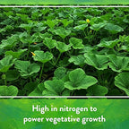 Down To Earth All Natural Fertilizers Organic Bat Guano - High Nitrogen Plant Food for Vegetative Growth 7-3-1, 0.25 lb