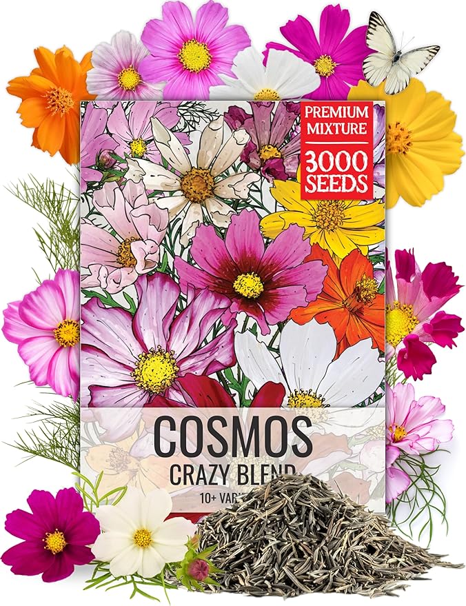Seed Needs Flower Seeds Cosmos Crazy Blend No Filler 10+ Varieties Cosmos | Cosmo Bipinnatus Open Pollinated Untreated | Resealable Packaging Keeps Seeds Fresh | Bulk Cosmos Flowering Seed Mix