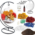 Creations by Nathalie DIY 5" DIY Globe Terrarium Kit - Build Your Own Glass Terrarium for Adults & Teens with Moss, Crystals, Tools & Decorative Figurine - Mini Ecosystem (Plant Not Included)