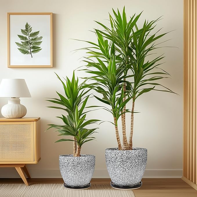 Ceramic Pots for Plants - 10+8+6 Inch Round Flower Pots with Drainage Holes and Saucers, Decorative Planters for Indoor Outdoor, Porch Decor, Housewarming Gifts, Set of 3, White-Black