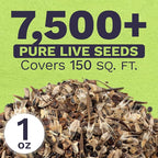Cut Flower Garden Seeds - Extra Large 1 Ounce Packet - Over 7,500 Fresh Open Pollinated Non-GMO Wildflower Seeds - Long Lasting Annuals and Perennials with Bright Colors