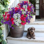 Artificial Flowers Outdoor Morning Glory - 16 Bundles Fake Plants UV Resistant No Fade Faux Plastic Greenery Home Garden Patio Decoration Indoor (1, Multi16-1)