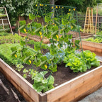 Cucumber Trellis, 35" X 50" A-Frame Garden Trellis for Climbing Plants Outdoor, Trellis Cucumber for Raised Bed, Foldable Plant Support for Vine/Vegetable/Tomato/Zucchini/Pea