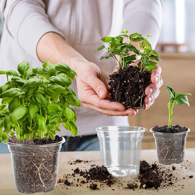 LOCONHA Small Plastic Plant Nursery Pot/Pots (36 Packs 5/4/3.5 Inch Plant Pot and 40 Plant Labels) Seedlings Flower Plant Container (Transparent) Seed Starting Pots Indoor Outdoor