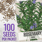 Seed Needs Rosemary & Thyme Seeds for Planting Fresh Kitchen Herbs - Non-GMO Heirloom & Untreated Perennial Herb Seed to Plant a Culinary Garden Indoors or Outdoors (2 Pack Duo)