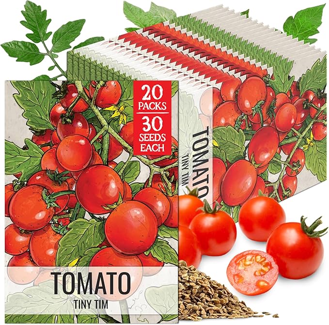 Seed Needs Tiny Tim Tomato Seeds for Planting Dwarf Cherry Tomatoes - Non-GMO Heirloom & Untreated Veggie Seed to Plant a Home Grown Outdoor Vegetable Garden (20 Packs)