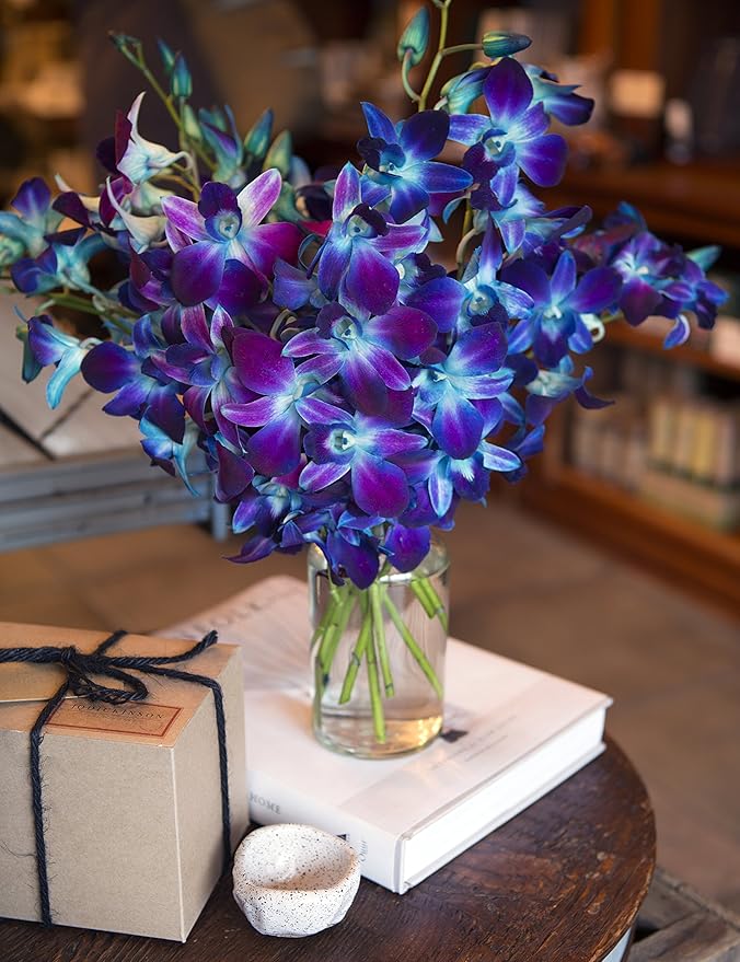 KaBloom - Blue Sapphire Orchid Bouquet of 10 Fresh Blue Orchid with Vase - Fresh Flowers for Birthday, Valentine's & Mother's Day
