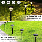 GIGALUMI 8 Pack Solar Pathway Lights, Solar Garden Lights Outdoor Warm White, Waterproof Led Path Lights for Yard, Patio, Landscape, Walkway (Black)