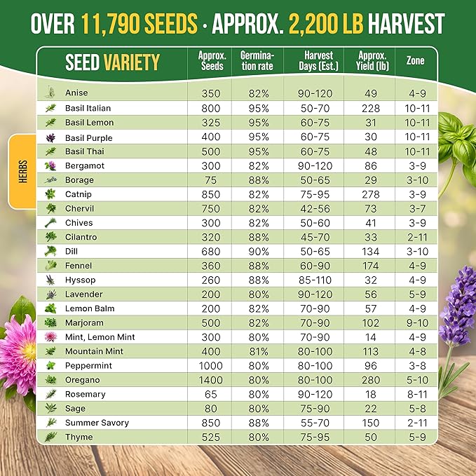 25 Most Popular Herb Seeds Variety Pack - 11,700 Non-GMO Heirloom Seeds for Planting Herbs in Individual Seed Packets for Hydroponic, Indoor & Outdoor Gardening - 2026 Season: Catnip, Dill, Thyme