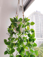 Comtelek Fake Hanging Plants Artificial Plants for Home Decor Macrame Plant Hanger with Fake Vines Faux Hanging Planter Greenery for Wall Ceiling Bedroom Bathroom Kitchen Office Boho Decor Indoor