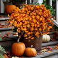 Artificial Fall Flowers Outdoor Fake Mums - 12 Bundles Fake Plants UV Resistant No Fade Faux Plastic Greenery Garden Porch Patio Fall Home Decor(RedOrangeYellow)