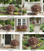 florisso Artificial Greenery Plants Outdoor, 5 Pcs Faux Coleus Plants UV Resistant Silk Plants with Stems, Fake Plants for Outside Garden Patio Hanging Planter Pathway Front Porch Decoration(Red)