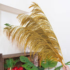 Golden Pampas Grass Decor Tall,Dried Pampas Grass, Pompas Floral for Vase, Elegant Feather Flowers for Wedding Decorations, Living Room Decor (Natural Gold, 8pcs 31.5"(80cm))