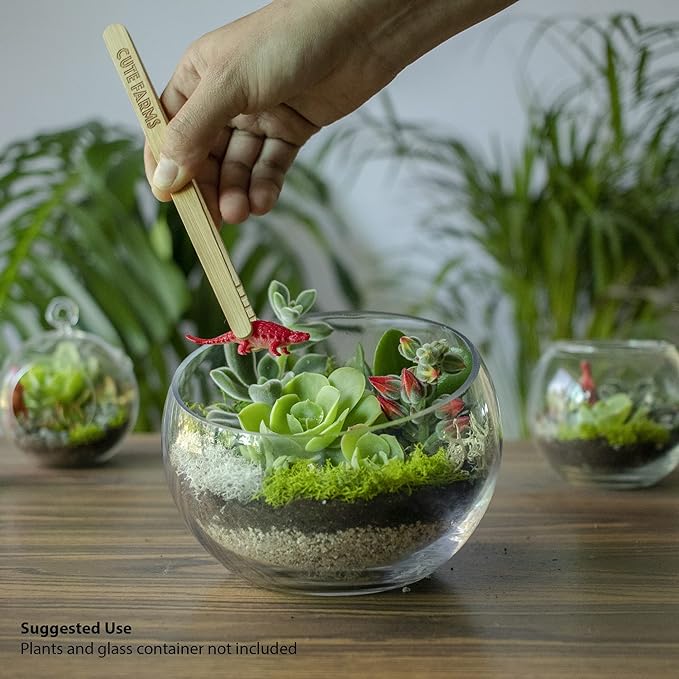 Cute Farms Terrarium Starter Kit | Moss, Vermiculite, Soil, Pebbles, Plant Food, & Finishing Tools (Large Kit + Crystals)