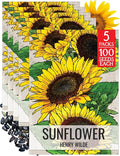 Seed Needs Henry Wilde Sunflower Seeds for Planting - Heirloom & Open Pollinated Cut Flowers - Annual Wildflowers to Grow a Butterfly Garden (5 Packs)