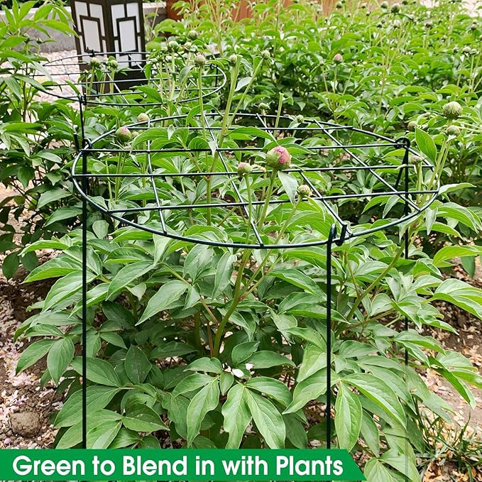 Sekcen 6 Pack 16 x 24 Inch Peony Support Cage Grow Through Plant Supports for Outdoor Plants Peony Ring Hoop Grow Through Grid Stakes