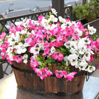 Artificial Flowers for Outdoor, UV Resistant Fake Silk Pansies Flowers, Realistic Faux Plants for Outside Indoor Porch Patio Window Box Planter Home Decor (16, White Pink)