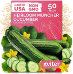 KVITER 50 Muncher Cucumber Seeds (Cucumis sativus) – Burpless & Seedless Cucumber Organic, Non GMO & Heirloom Cucumbers – Vegetable Seeds for Planting Outdoors in Home Garden & Containers
