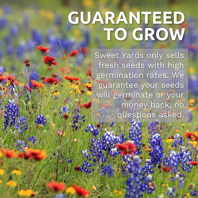 Blanket Flower – Gaillardia aristata – Large 1 Ounce Packet – 9,000 Flower Seeds for Planting