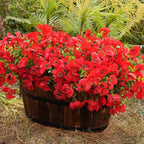 Artificial Flowers for Outdoor, UV Resistant Fake Silk Pansies Flowers, Realistic Faux Plants for Outside Indoor Porch Patio Window Box Planter Home Decor (16, Red)