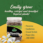 Nelson Plumeria Plant and All Flowering Tropicals Food Ferns Orchids Lilys In Ground Container Patio Grown Granular Fertilizer NutriStar 5-30-5 (4 lb)