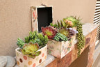 DECOROUS Artificial Succulents Plants Unpotted -14 Pack– Large Fake Succulent Plant Indoor Outdoors – Realistic Faux Cactus Suculentas Bulk for Home DIY Décor – Small Desert Plastic Cacti Succulants