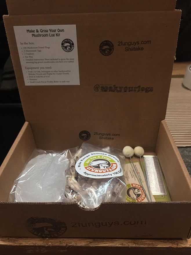 Shiitake Plug Spawn Starter Kit - Grown Your Own Mushrooms