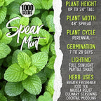 Seed Needs Herb Seeds for Planting a Collection of 6 Medicinal Herbs - Non-GMO Heirloom & Untreated Tea & Infusion Varieties (Chamomile, Lemon Balm, Spearmint, Anise Hyssop, Lemon Mint & Catmint)