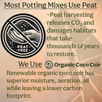 Craft Aroid Potting Mix- Elite Organic Alocasia, Philodendron, Monstera Soil Mix, Chunky, Well Draining Potting Soil for Indoor Plants, All Tropical Plants & Houseplants, Perlite & Peat Free 2QT