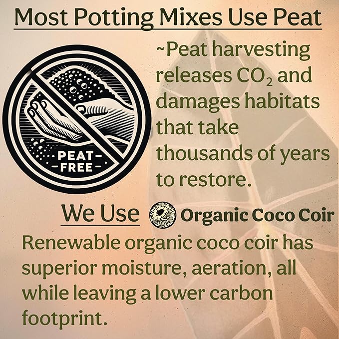 Craft Aroid Potting Mix- Elite Organic Alocasia, Philodendron, Monstera Soil Mix, Chunky, Well Draining Potting Soil for Indoor Plants, All Tropical Plants & Houseplants, Sustainable & Peat Free 4QT