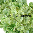 4 Pcs Real Touch Green Hydrangeas Artificial Flowers 20'' Long Stem Faux Hydrangeas for Outdoor Party Wedding Home Decor Kitchen Table Centerpiece