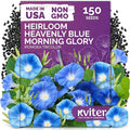 KVITER 150 Heavenly Blue Morning Glory Seeds Bulk (Ipomoea Tricolor) – Heirloom Seed Packets – Climbing Flower Seeds for Planting Outside, Blue Blooms for Home Garden Trellises, Fences