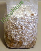 MycoHaus Mushroom Growing Kit | Sterilized Rye Grain | Magic Indoor Grow Bags for Mushrooms | Shroom Home Cultivation Magic Supplies | Without Spores | Without Injection Ports | 1 Pound (12 Pack)