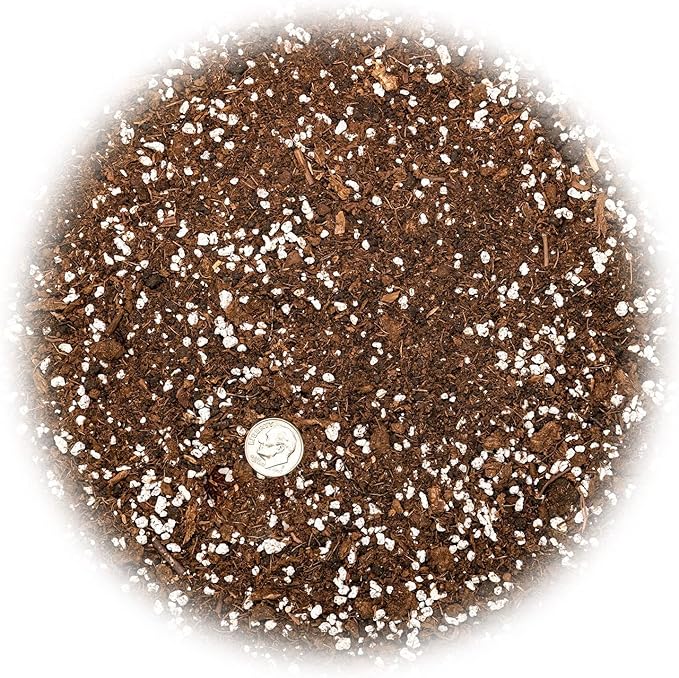 Gardenera Premium House Plant and Tropical Plant Potting Soil - Re-Potting Soil for All Types of Indoor House Plants - 1 Quart