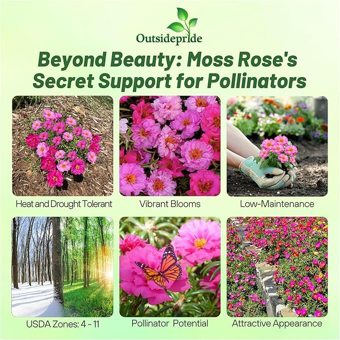 Outsidepride Pink Mixed Moss Rose Seeds - 500 Pcs Annual, Drought & Heat Tolerant, Pollinator Friendly Ground Cover Seeds for Planting w/Vibrant Blooms & Succulent Foliage, Ideal for Xeriscaping